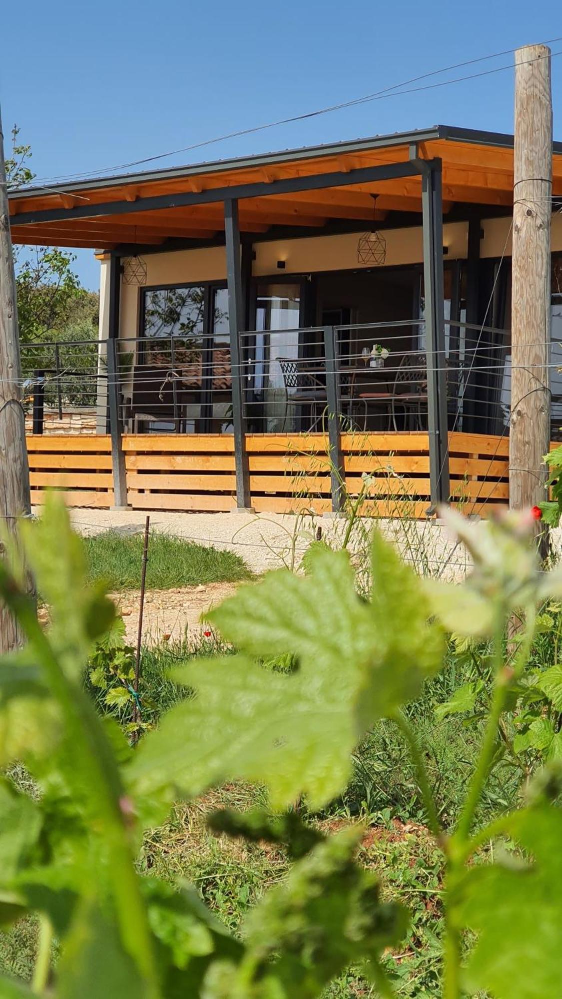 Collis Winery - Family & Friends - Mobilhome