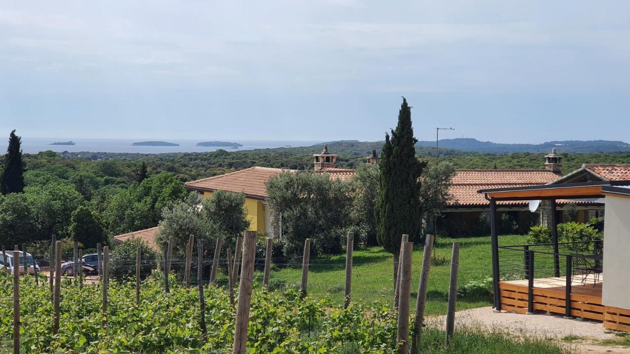 Camping Collis Winery - Family & Friends - Mobilhome