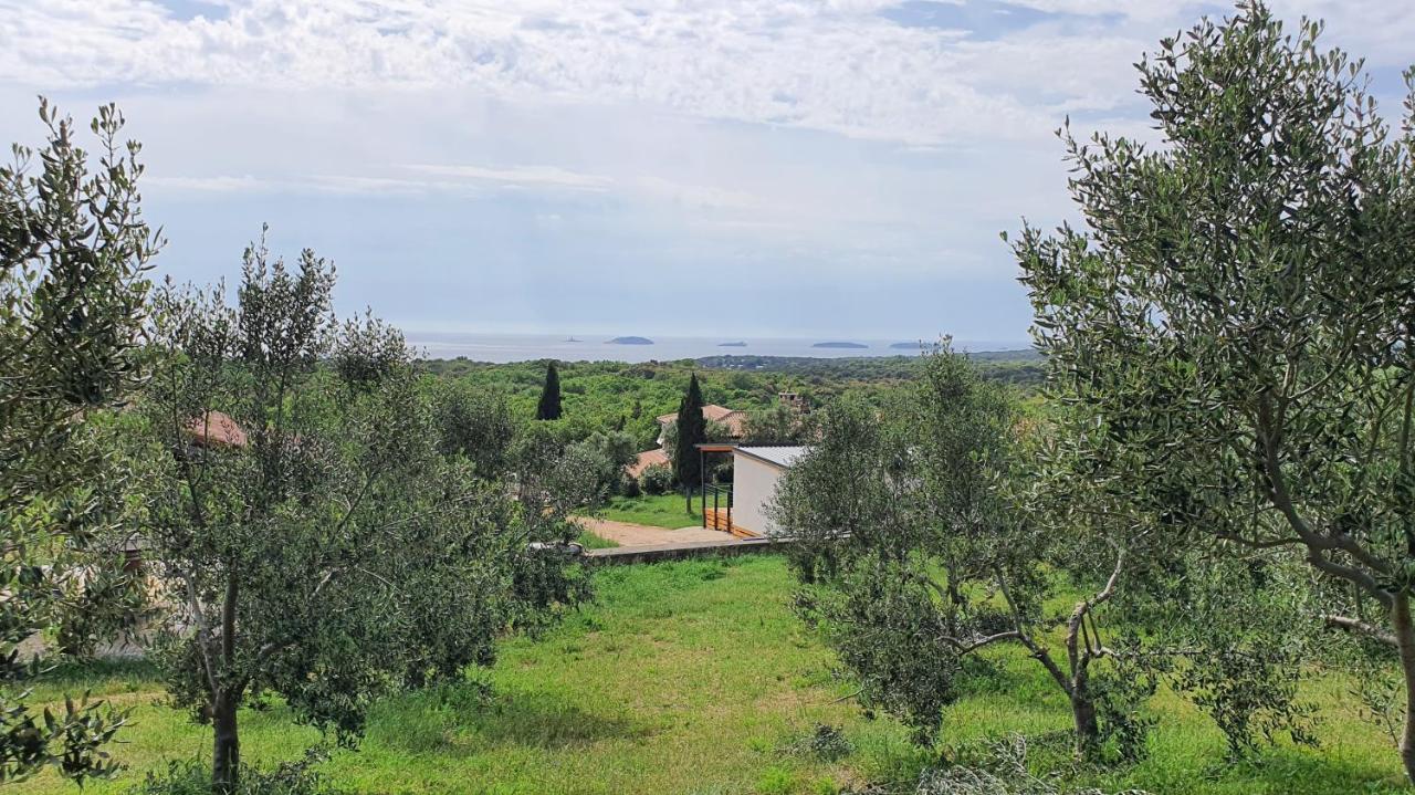 Collis Winery - Family & Friends - Mobilhome Campsite